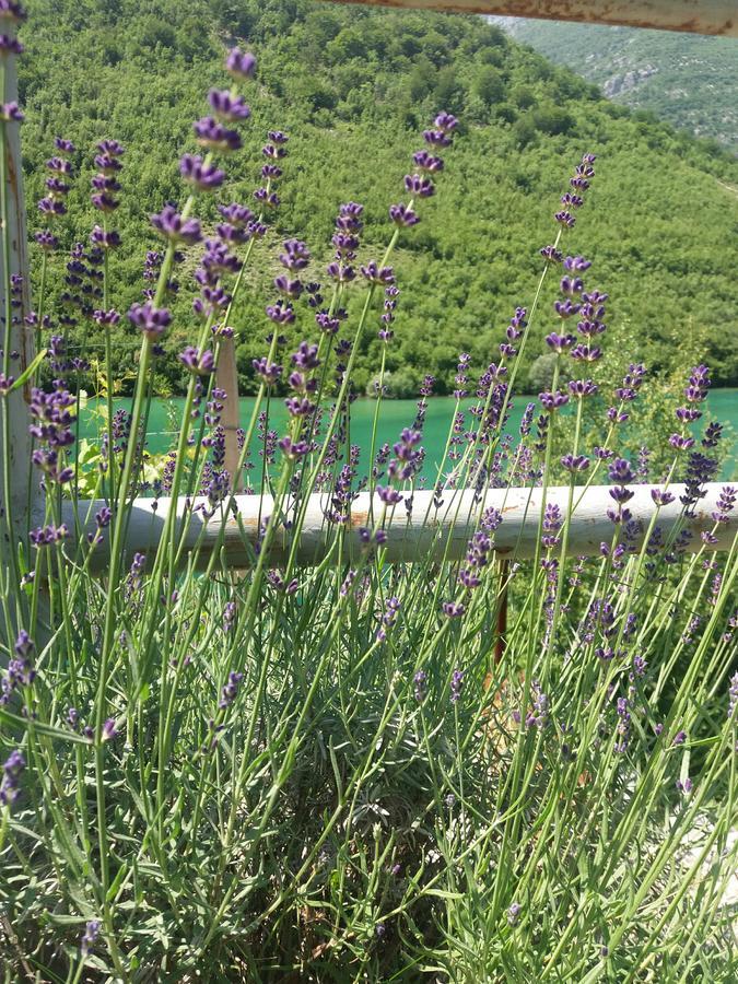 Kuca Lavanda Dreznjak ภายนอก รูปภาพ